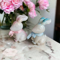 Rabbit breastmilk keepsake