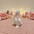 Darcy duck breastmilk keepsake